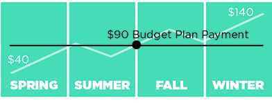 budgetgraph.jpg